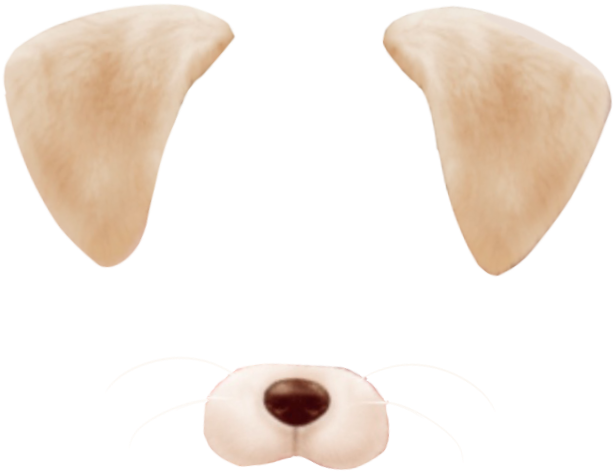 Report Abuse - Dog (960x1280), Png Download