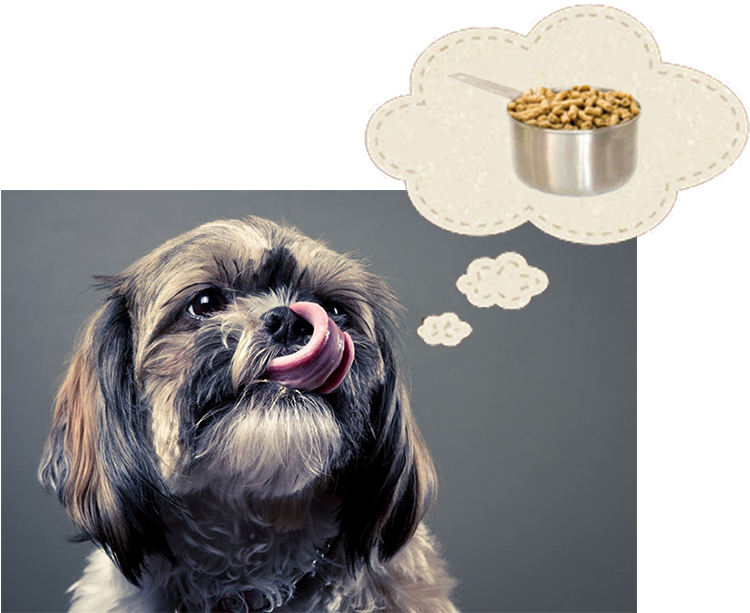 The Secret Recipe - Dog (792x612), Png Download