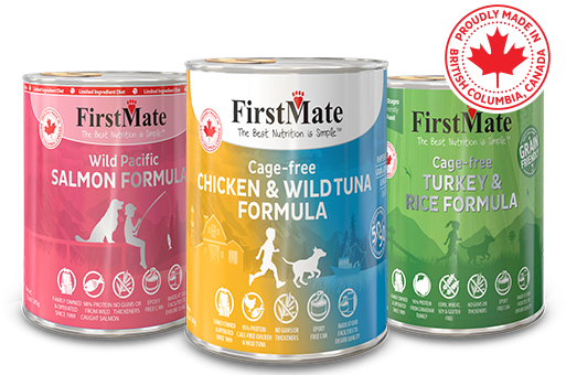 Made In Canada Stamp (587x537), Png Download