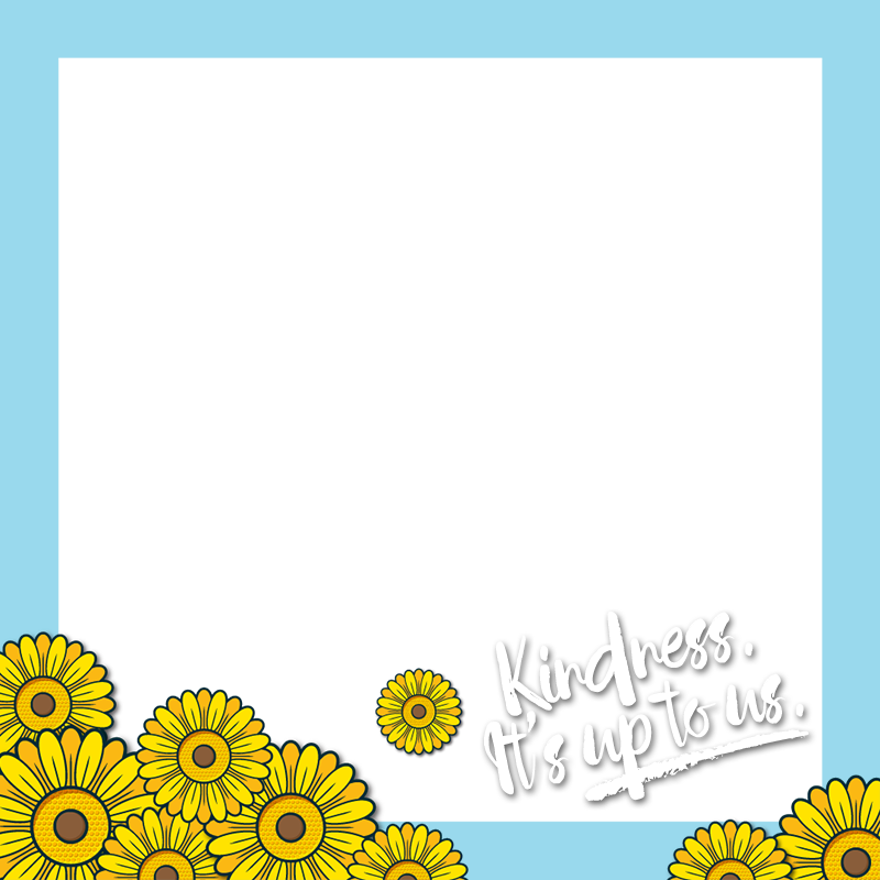 3-2x - Sunflower (800x800), Png Download