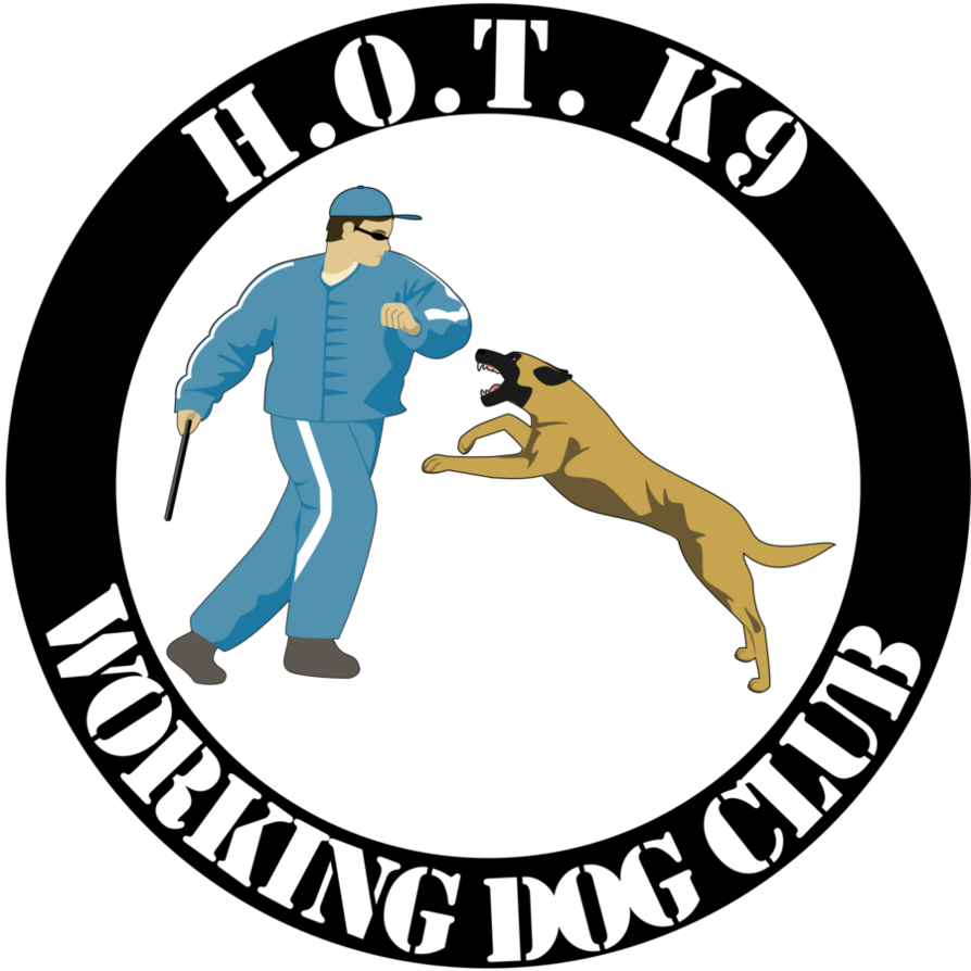 Dog Club Logo Ideas - Club Dog Logo (894x894), Png Download