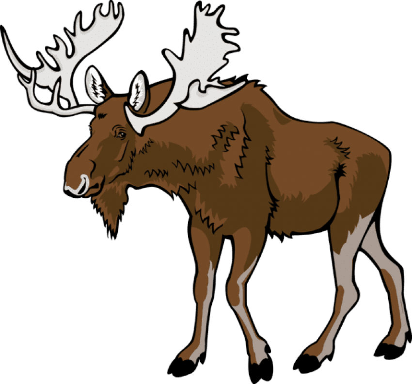 Download Free Png Moose Png Images Transparent - Clip Art Moose ...