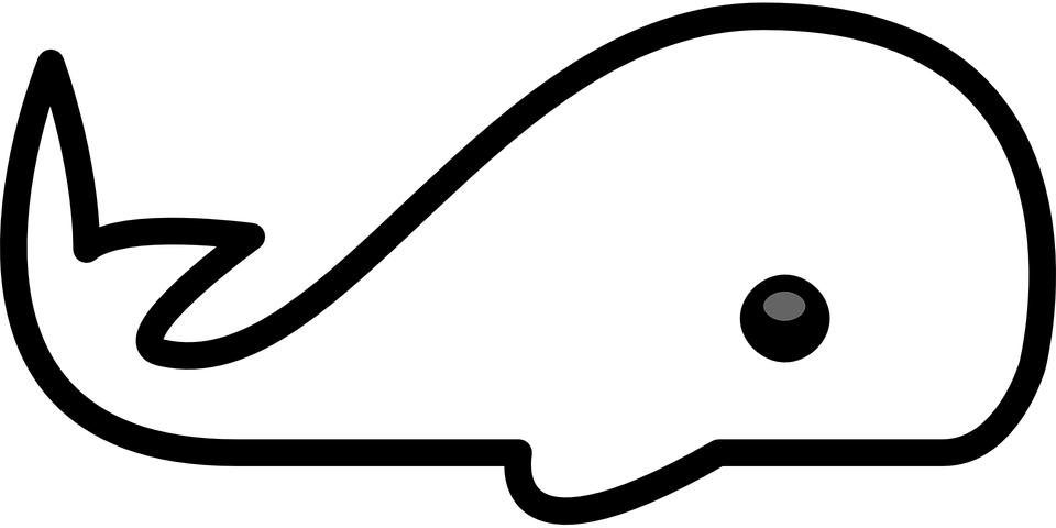 Whale Outline Free Vector Graphic Whale Mammal Animal - Clipart Black And White Whale (960x480), Png Download