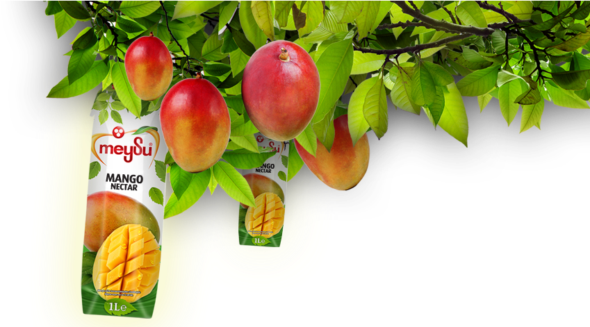 Tr - En - Nectarines (1122x470), Png Download