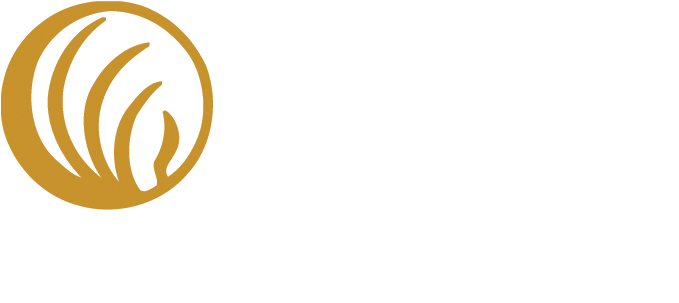 Nami Chicago - Nami Billings (696x346), Png Download