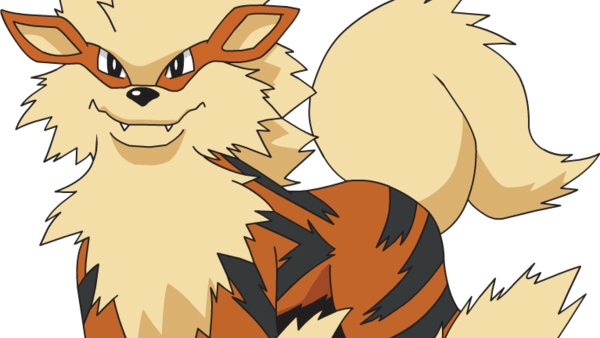 Arcanine - Pokedex Growlithe (600x338), Png Download