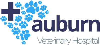 Erin Mills Pet Hospital (650x200), Png Download