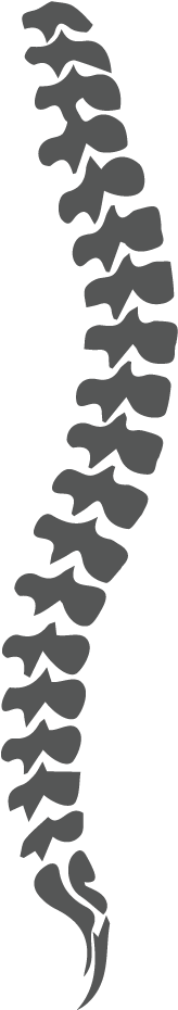 Spine - Orthopedic Black And White (322x1000), Png Download