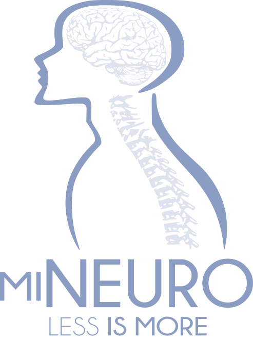 Mineuro Minimally Invasive Brain And Spine Surgery - Brain And Spine Surgery Icon (493x704), Png Download
