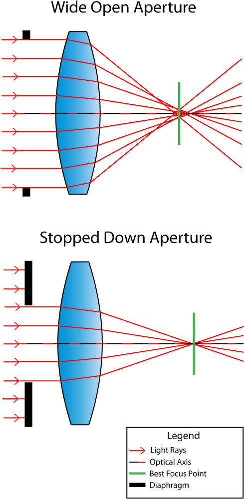 Focus Shift (500x1024), Png Download