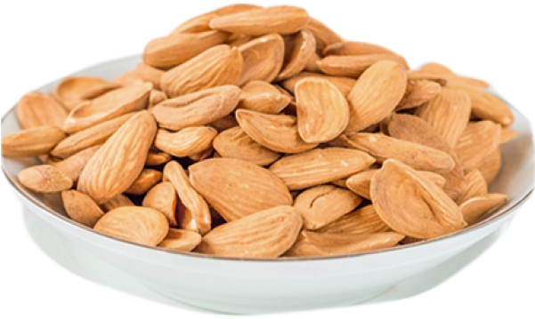 Almond (600x780), Png Download