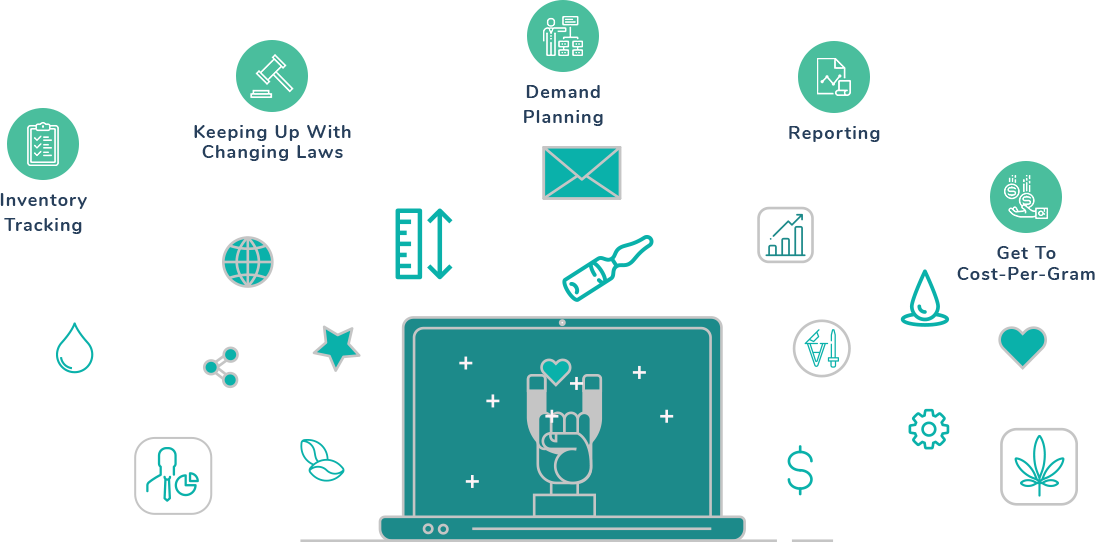Seed To Sale Software For The Cannabis Industry - Cannabis Seed To Sale (1095x542), Png Download