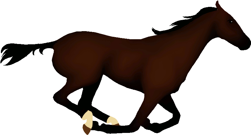 Animated Horse Pictures - Animated Gif Horse Running (1000x767), Png Download