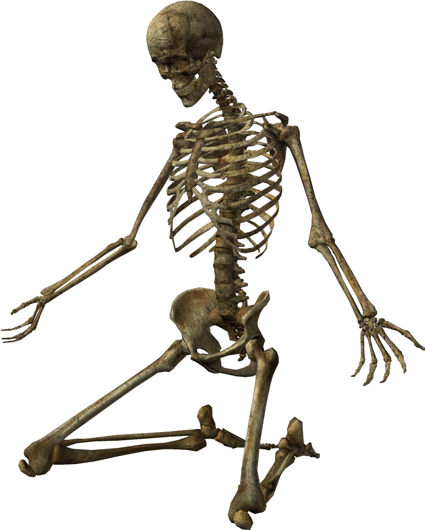 The Lack Of Conscripts In The Countdown To The Skeleton - Skeleton (864x1079), Png Download