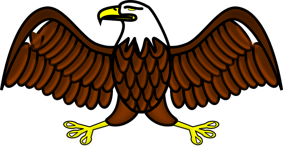 Eagle Mascot Cliparts 1, Buy Clip Art - Eagle Bird Clip Art (960x504), Png Download