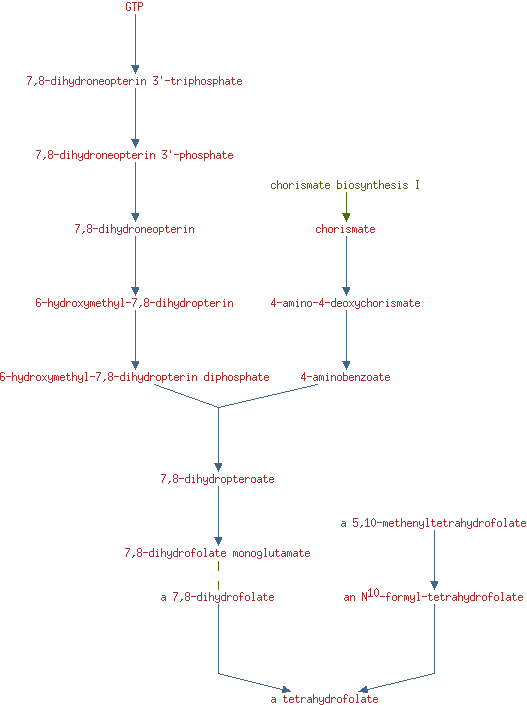 Pathway Diagram Superpathway Of Biosynthesis And Salvage - Number (527x705), Png Download