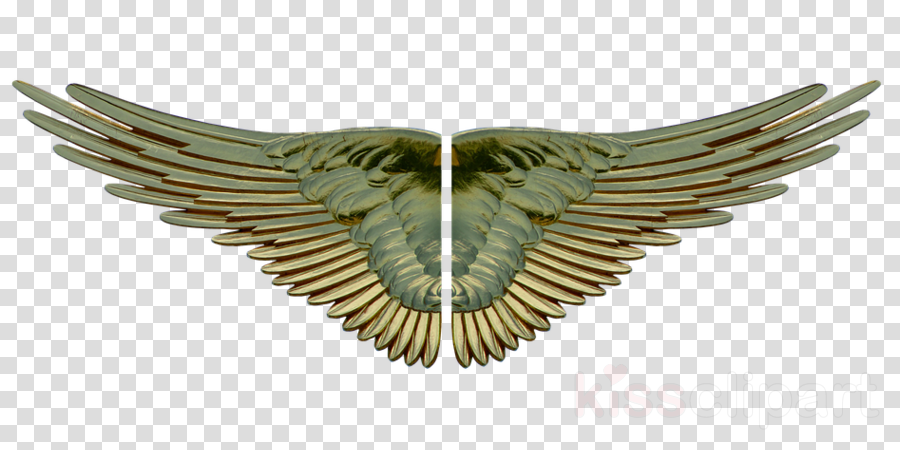 Download Eagle Wing With No Background Clipart Song - Clip Art (900x450), Png Download