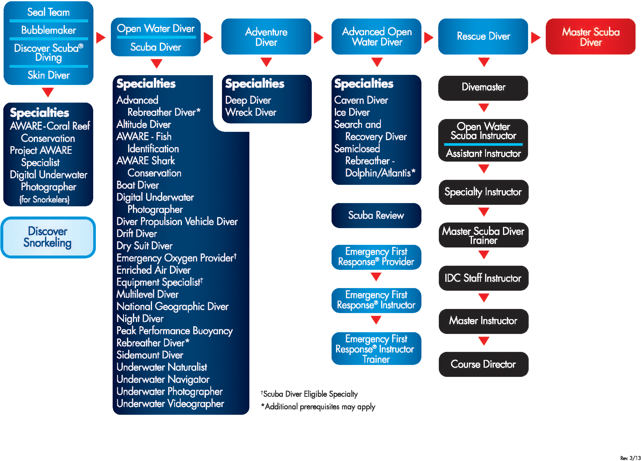For Course Pricing, Please Call Store For More Information - Padi Courses (2200x1700), Png Download