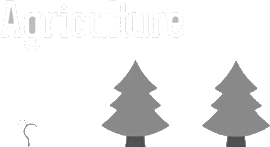 Causes Of Deforestation Image - Christmas Tree (920x501), Png Download