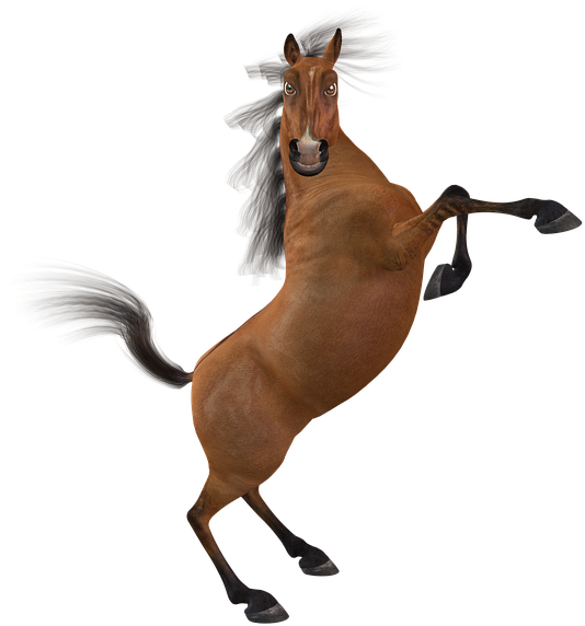 Funny Horse Png - Beware Of The Mare Stare (540x720), Png Download