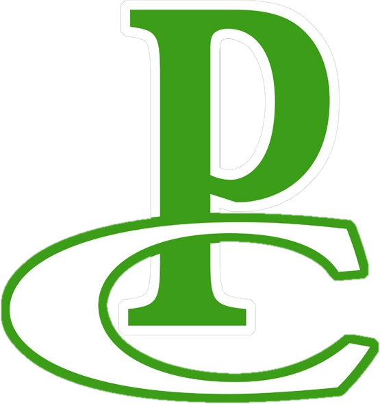 Pierce City Eagles - Pierce City Eagles Logo (555x589), Png Download