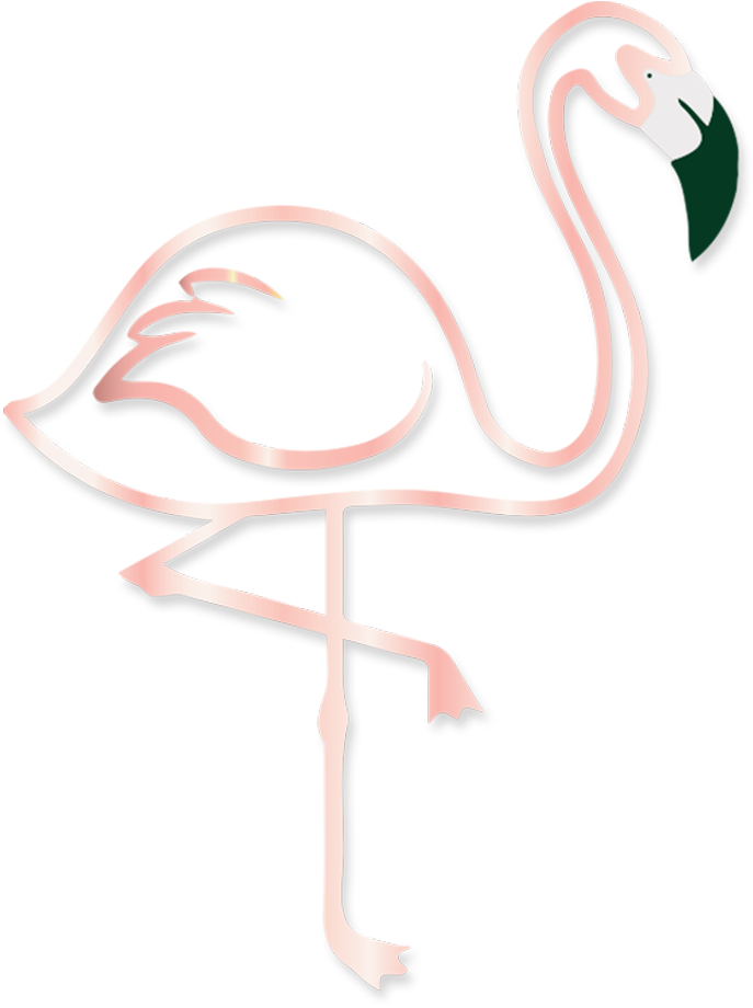 Twitter Facebook Snapchat Instagram Whatsapp - Greater Flamingo (1000x1000), Png Download