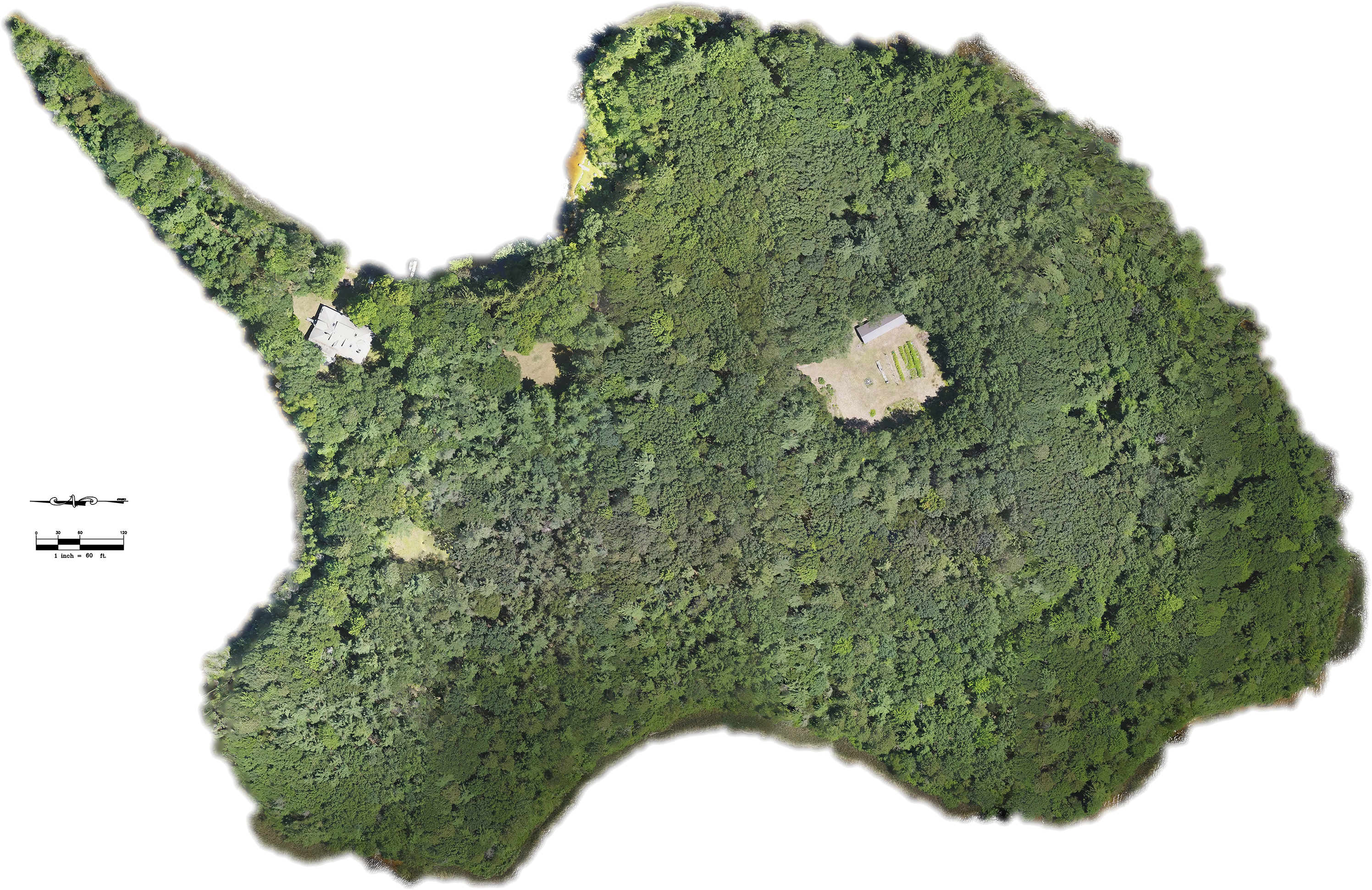 Orthomosaic Map - Moss (3070x2021), Png Download