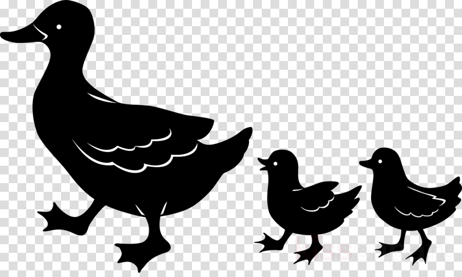 Duck Family Silhouette Clipart Duck Silhouette Clip - Portable Network Graphics (900x540), Png Download