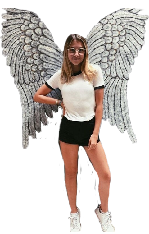 Fairy (480x753), Png Download