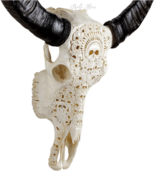 Carved Buffalo Skull - Skull (600x600), Png Download