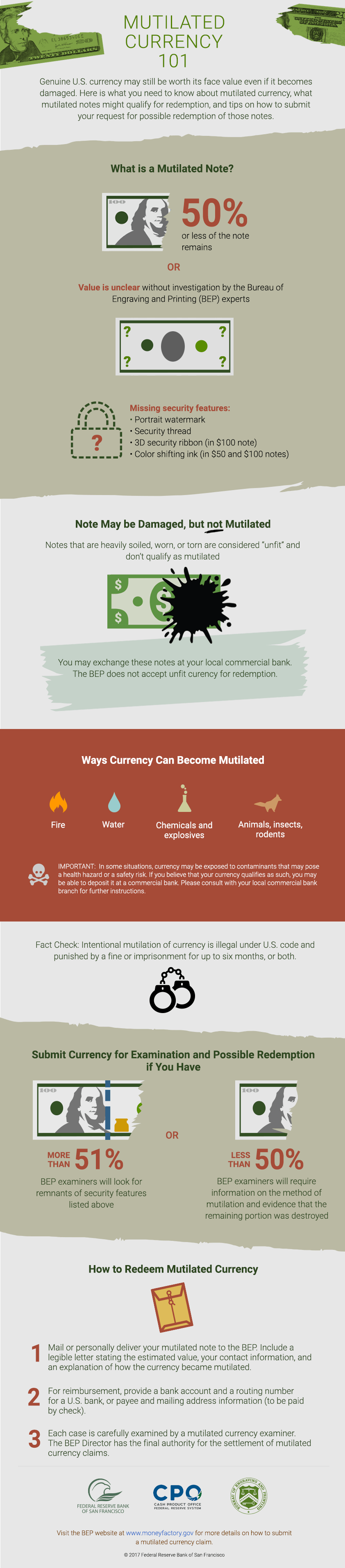 Download The Infographic - Flyer (842x3820), Png Download