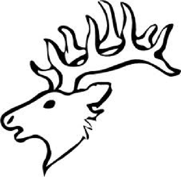 Deer Head For Scroll Saw Pattern - Easy Elk Head Drawing (771x620), Png Download