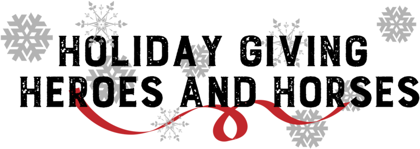 Holiday Giving For Heroes And Horses - Graphic Design (1000x380), Png Download