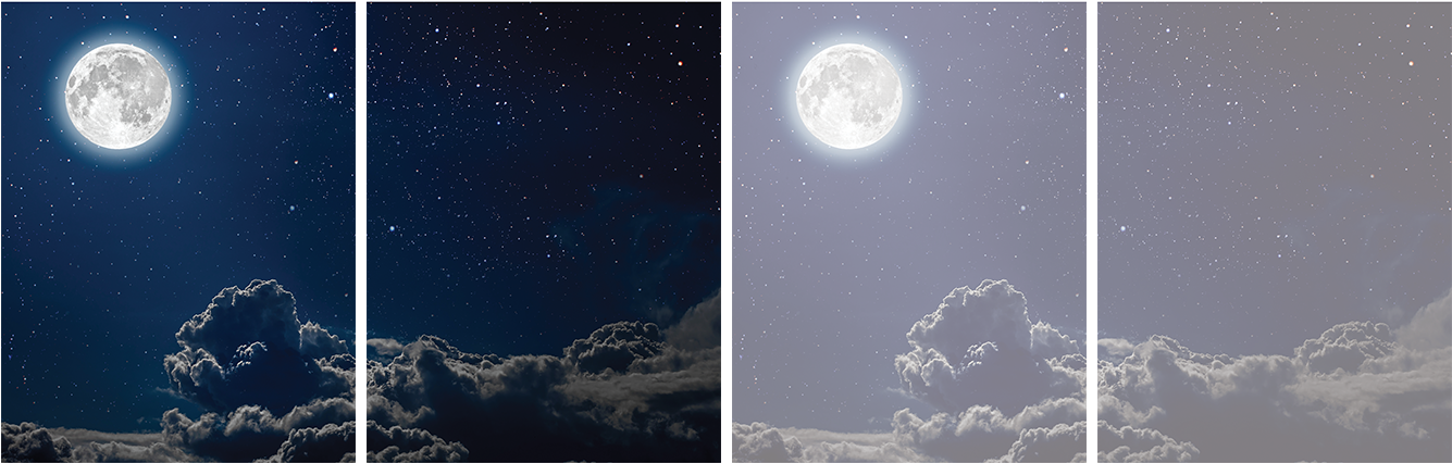 Cover Options - Wilderness - Earth (1346x606), Png Download