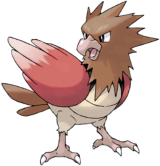 Spearow - Pokemon Fearow (600x600), Png Download