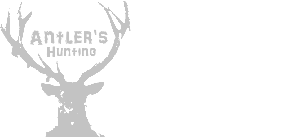 Com/user 492548780/sets/mad In Heaven Sample Track - Elk (1000x444), Png Download