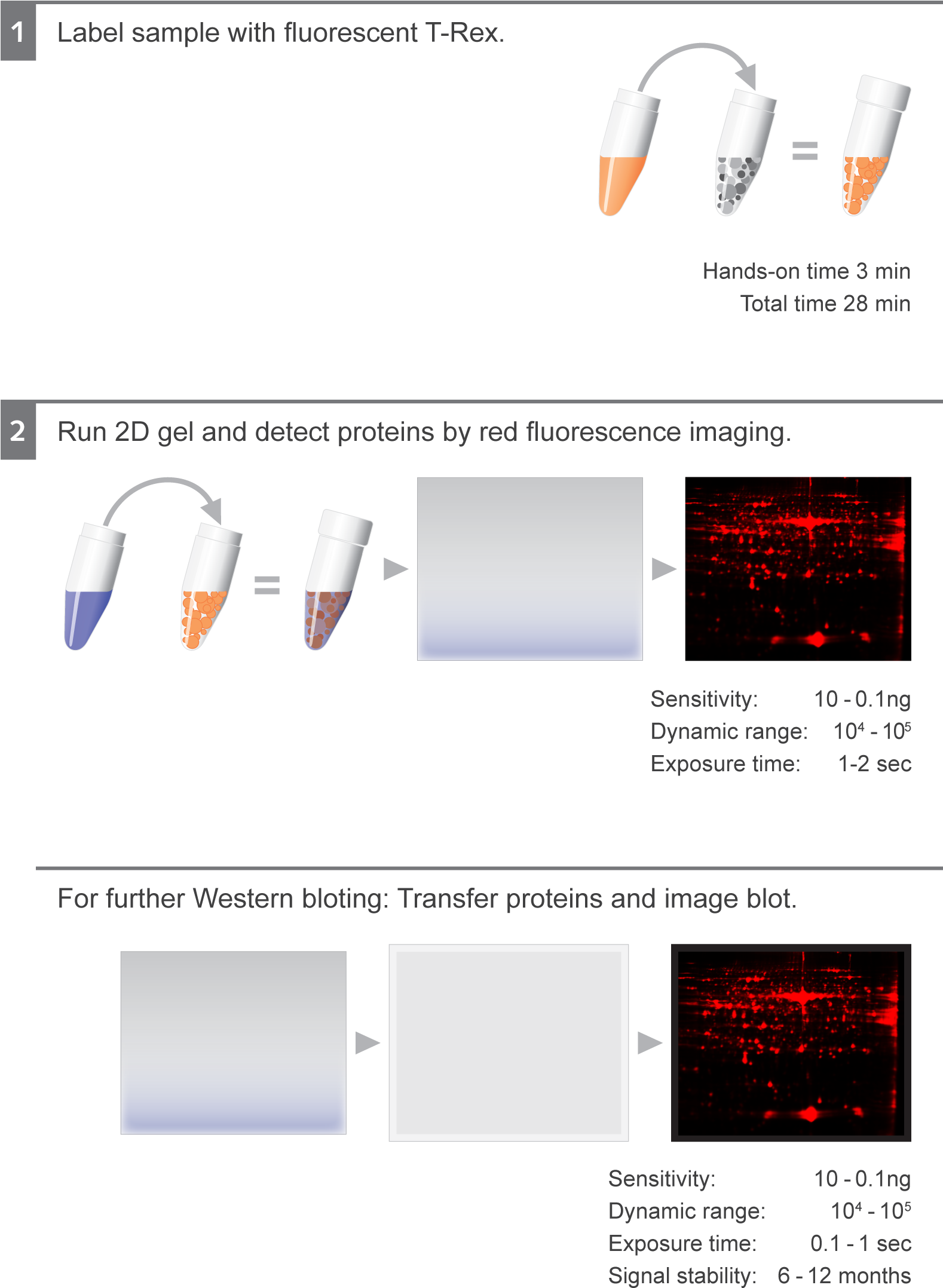 X - - Wells Fargo (1577x2288), Png Download