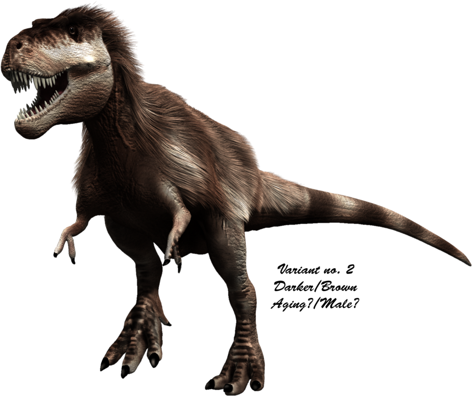 Scientifically Accurate T-rex - Did T Rex Actually Look (971x822), Png Download