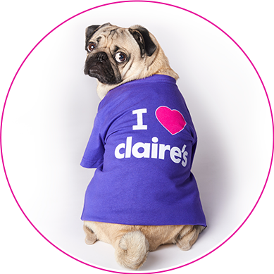 Doug The Pug - Doug The Pug Claires (389x389), Png Download