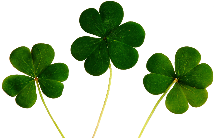 Feel The Luck In The Air And The Spring In Your Step, - Good Luck Symbols (960x595), Png Download