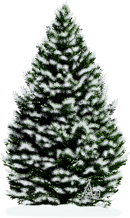 Christmas Tree (421x705), Png Download
