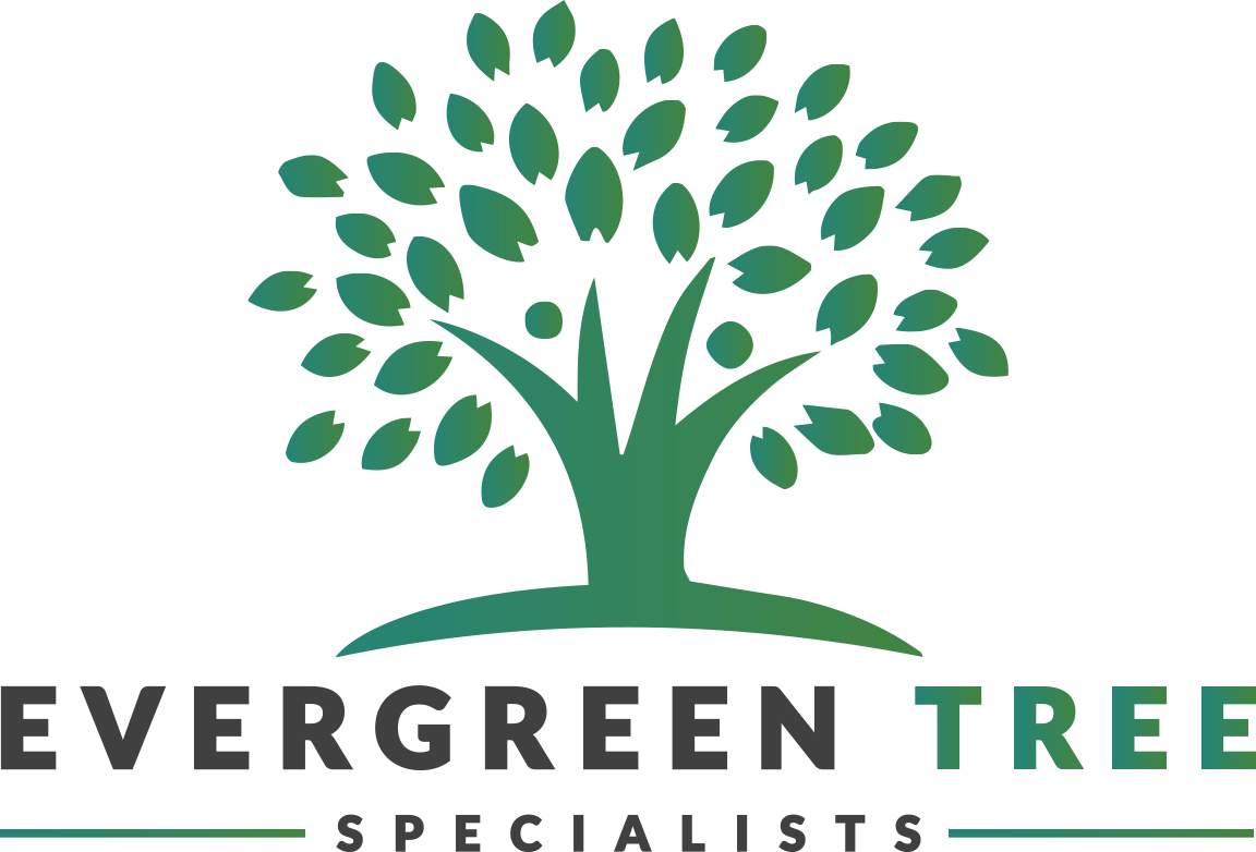 Vector Graphics (1152x782), Png Download