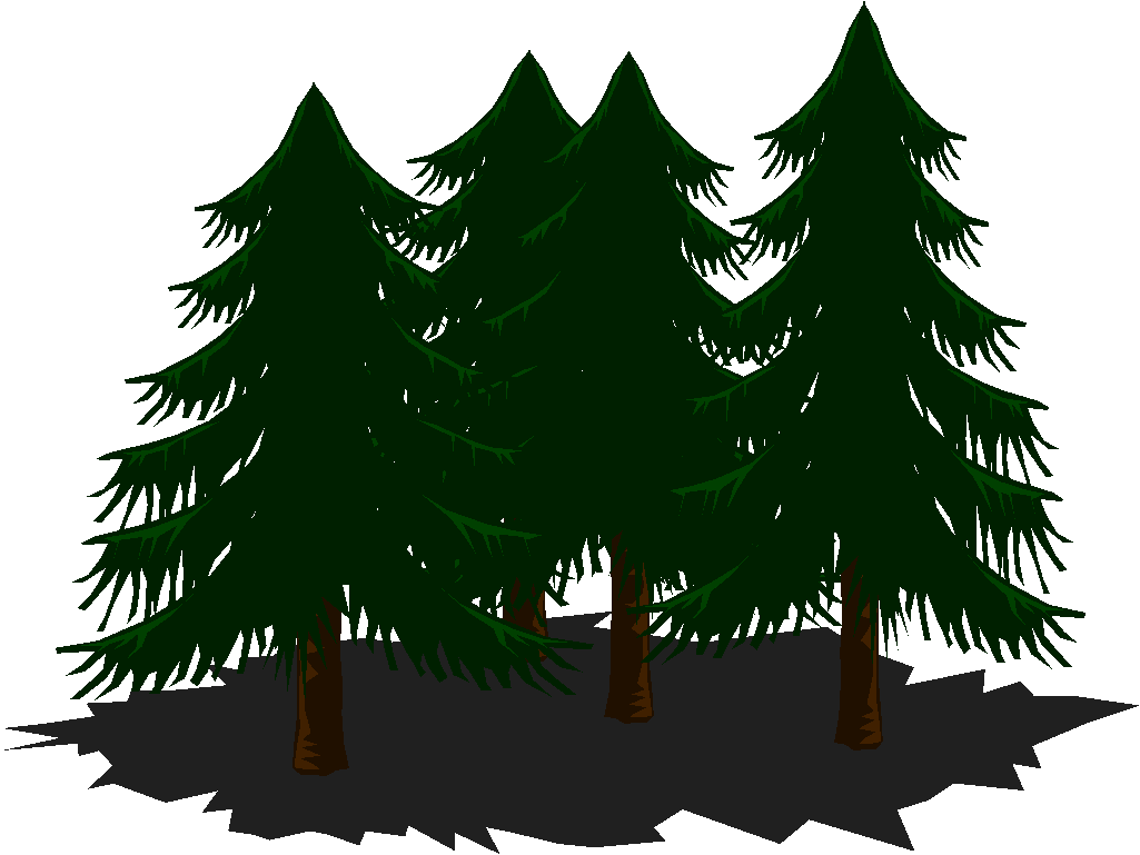 Pine-trees - Trees (1025x769), Png Download