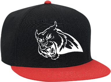 Like A Boss That Nigga Marvin Big Daddy And A Pimp - Diamond Supply Co. Gang Snapback - Navy (400x323), Png Download