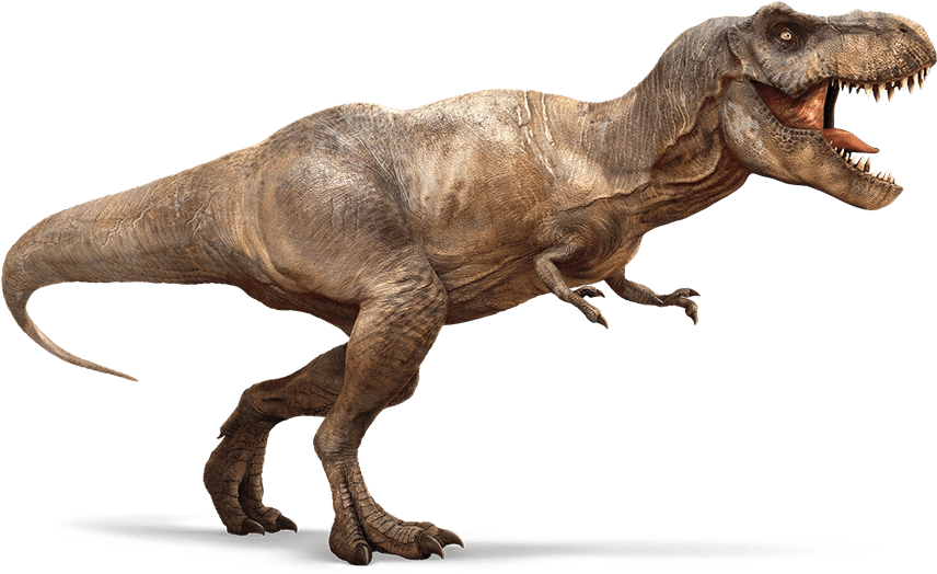 T-rex 2 - Tyrannosaurus Rex (915x540), Png Download