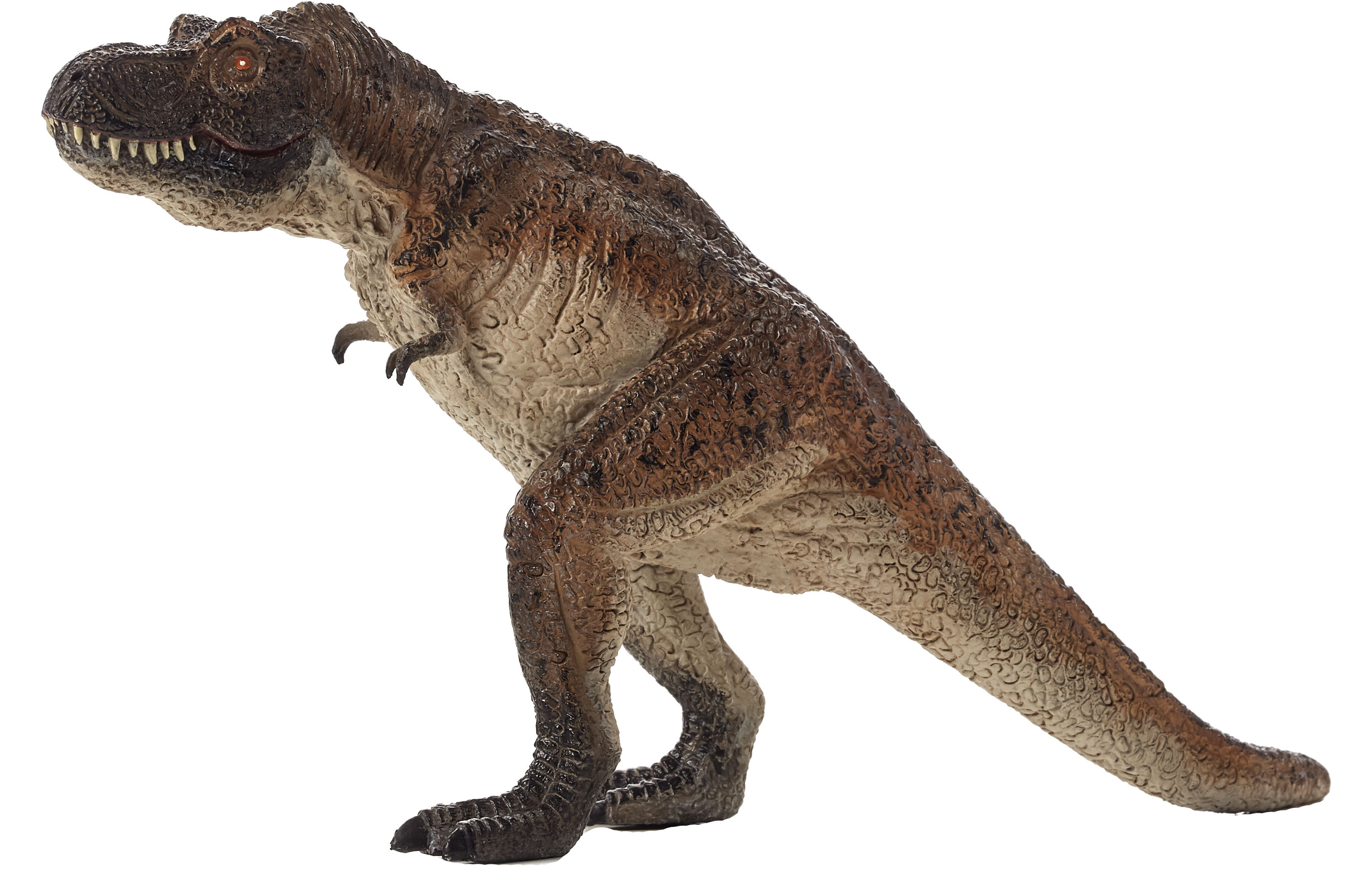 Tyrannosaurus (3230x2170), Png Download