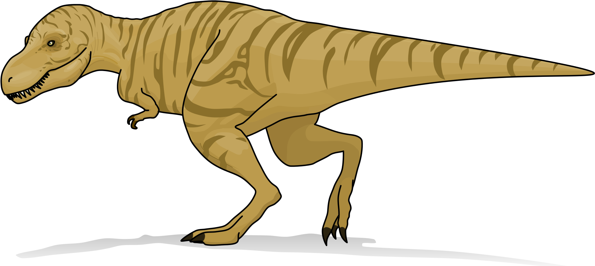 Open - Truth About Killer Dinosaurs T Rex (2000x938), Png Download