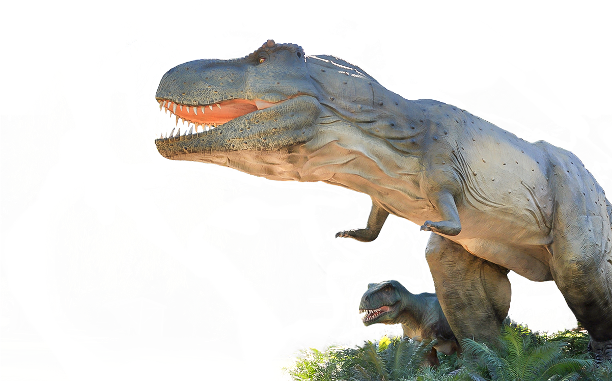 T-rex - Adelaide Zoo (1214x747), Png Download