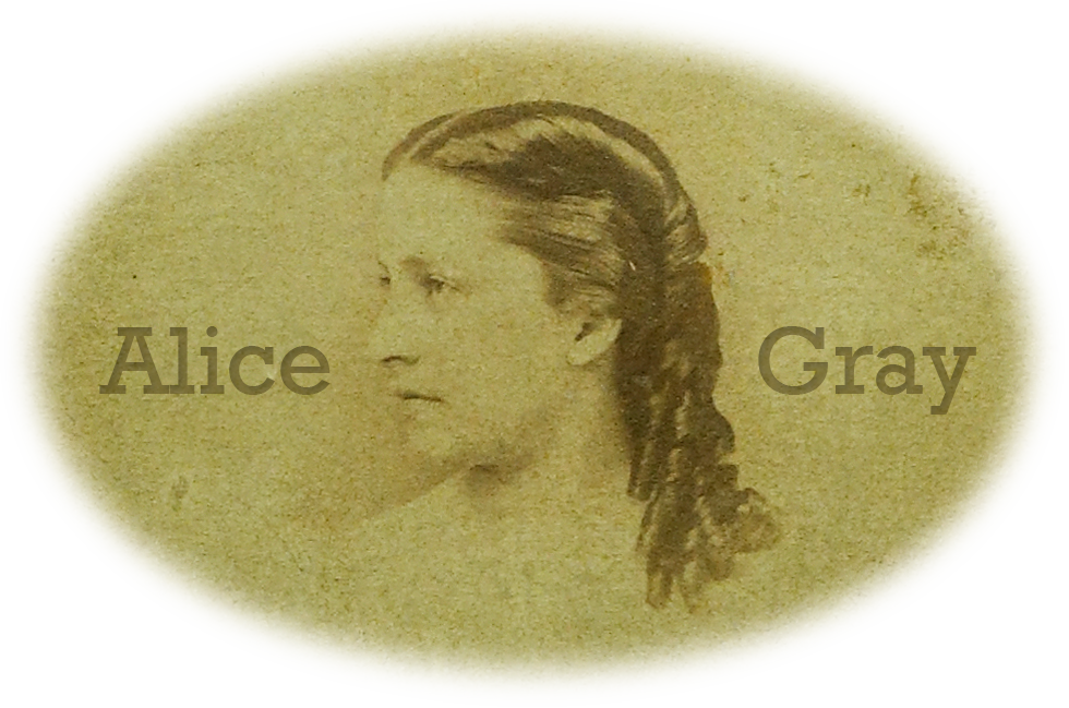 Alice Gray - House Fly (980x649), Png Download