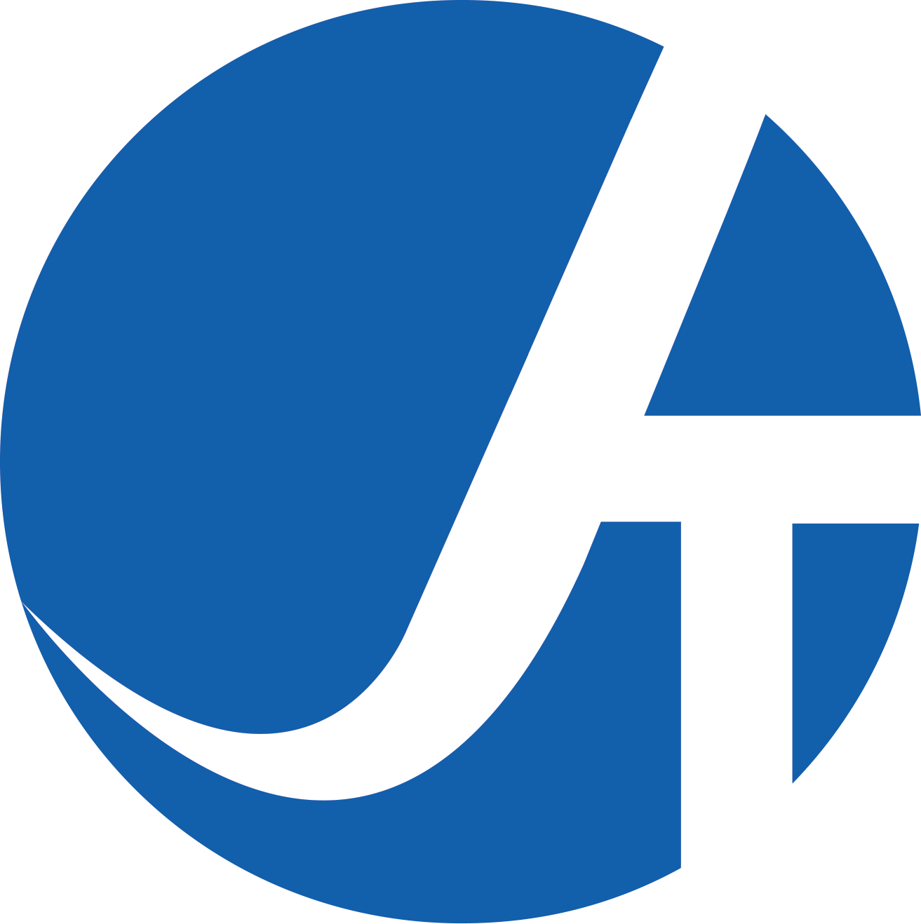 Transparent Information Jericho Information Technology